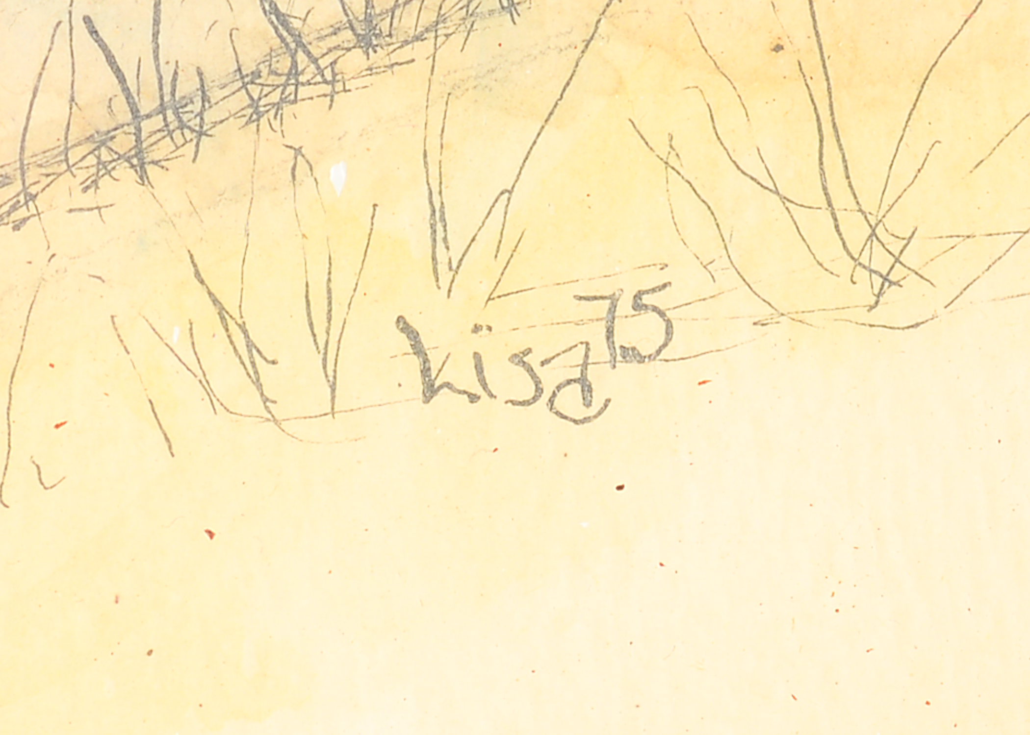 Pair of Vintage Framed Drawings