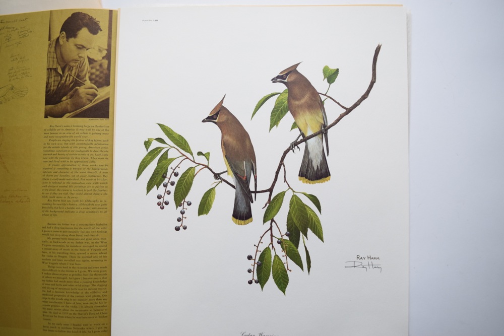 Signed Ray Harm Cedar Waxwing Offset Lithograph