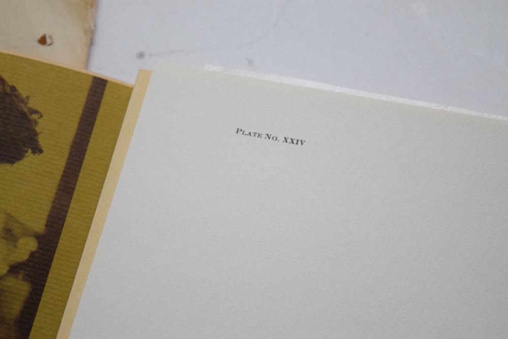 Signed Ray Harm Cedar Waxwing Offset Lithograph