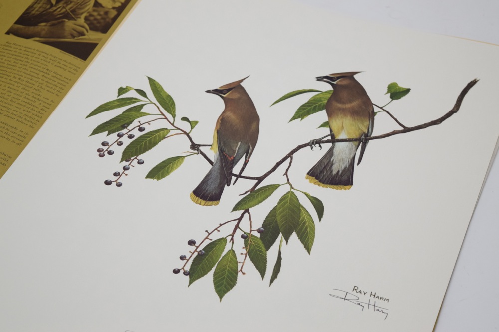 Signed Ray Harm Cedar Waxwing Offset Lithograph