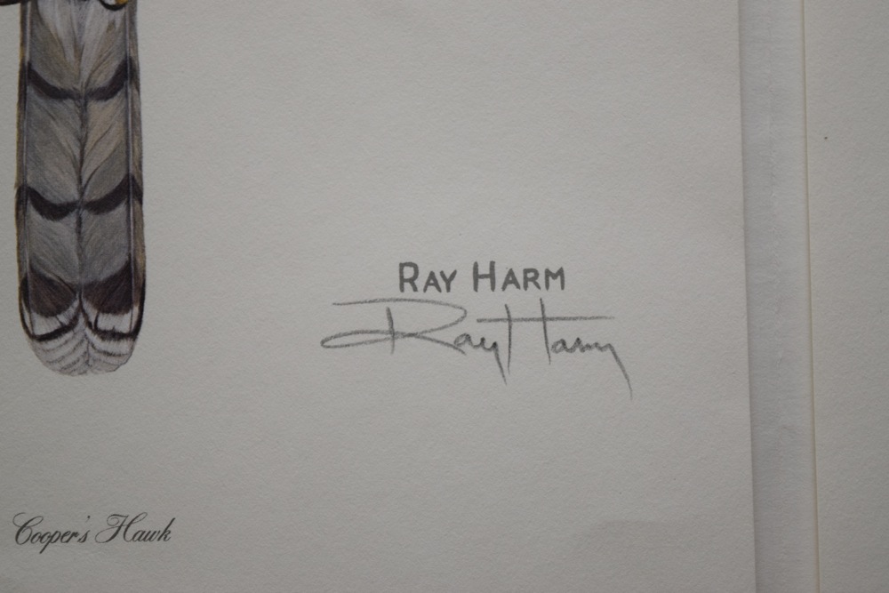 Pair of Ray Harm Signed Cooper's Hawk Offset Lithographs and 1977 Gallery Ephemera