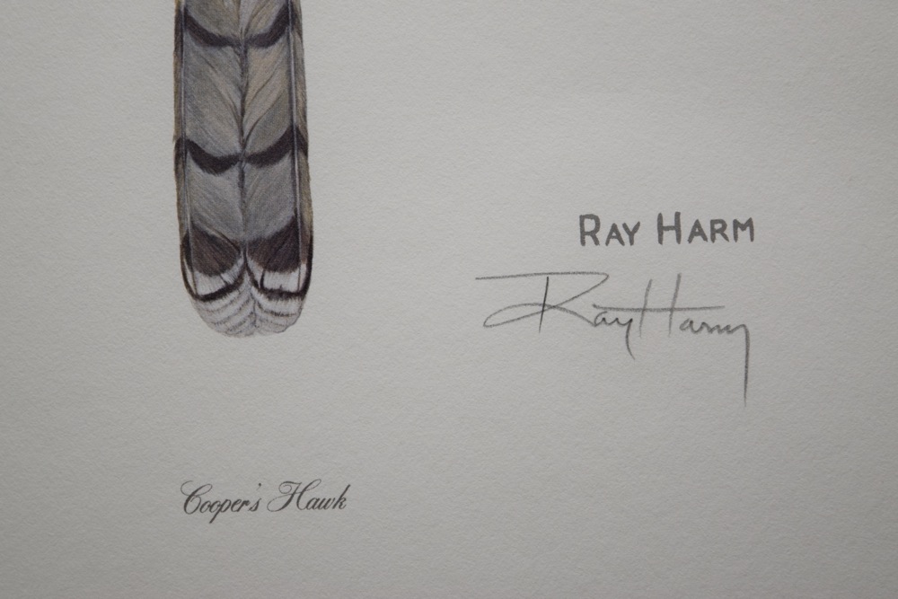 Pair of Ray Harm Signed Cooper's Hawk Offset Lithographs and 1977 Gallery Ephemera