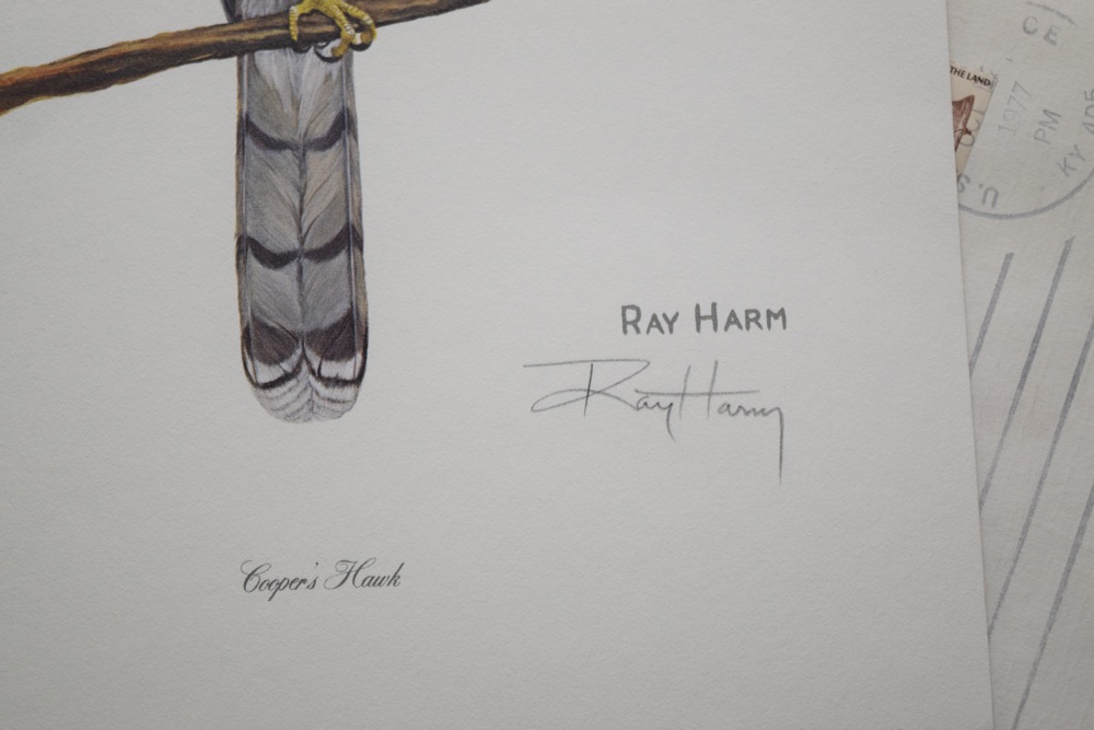 Pair of Ray Harm Signed Cooper's Hawk Offset Lithographs and 1977 Gallery Ephemera