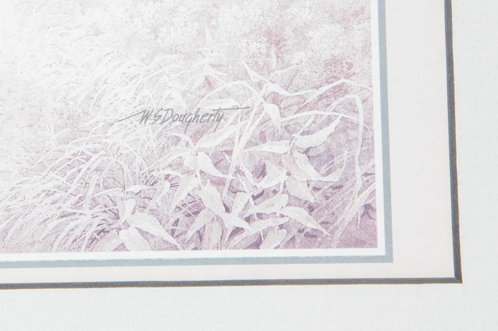 Collection of Framed Landscape Artwork