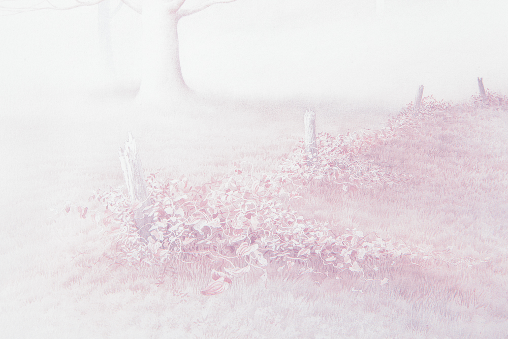 Collection of Framed Landscape Artwork