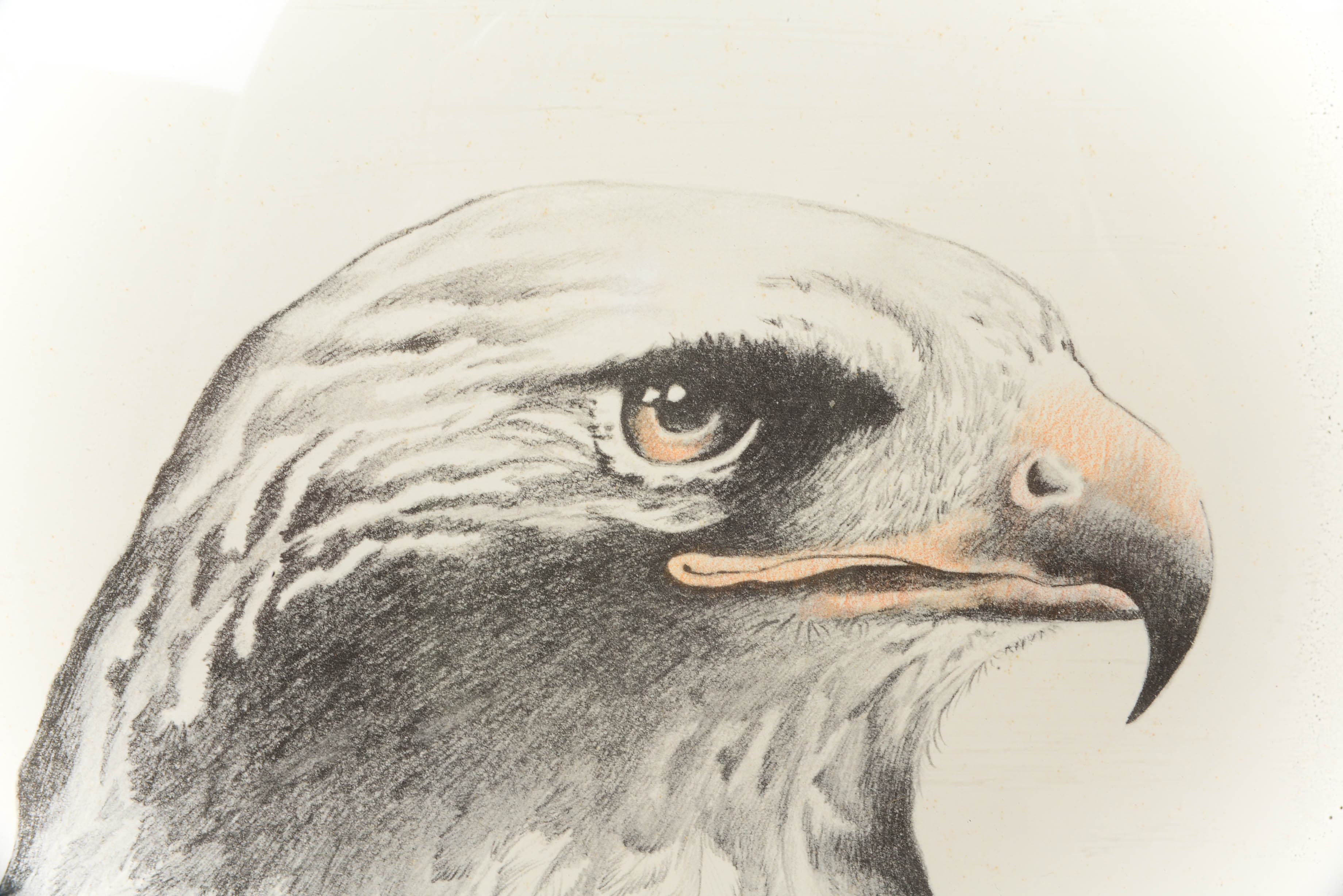 Candy Caldwell Signed Lithograph LE Red Tail Hawk #122/250