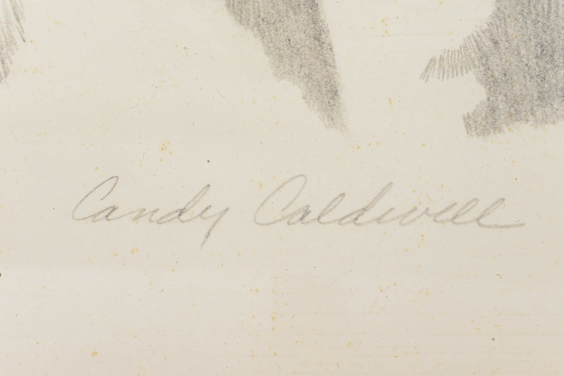 Candy Caldwell Signed Lithograph LE Red Tail Hawk #122/250