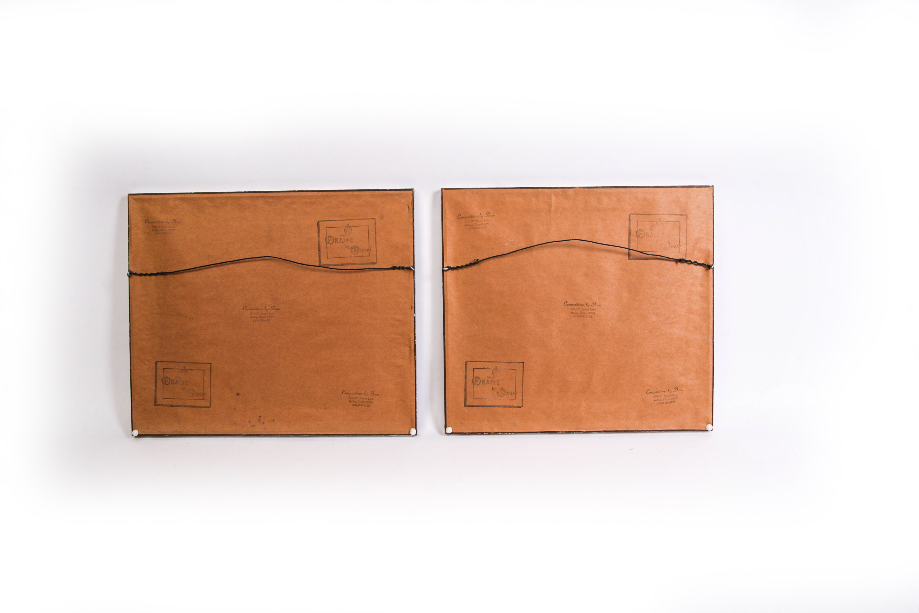 Pair of Framed Chinese Embroidered Panels