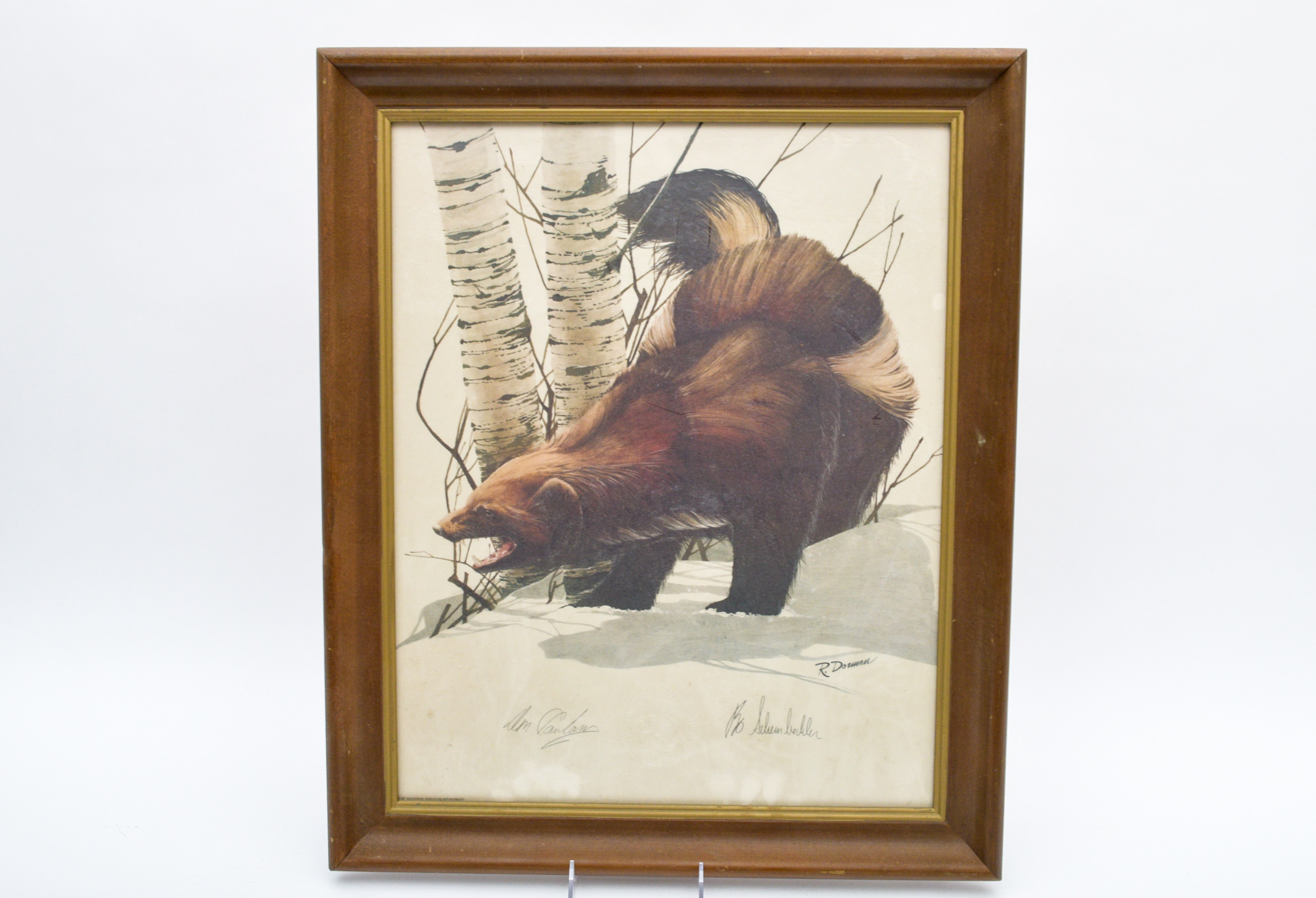 University of Michigan Print of Wolverine, Signed by Head Coach