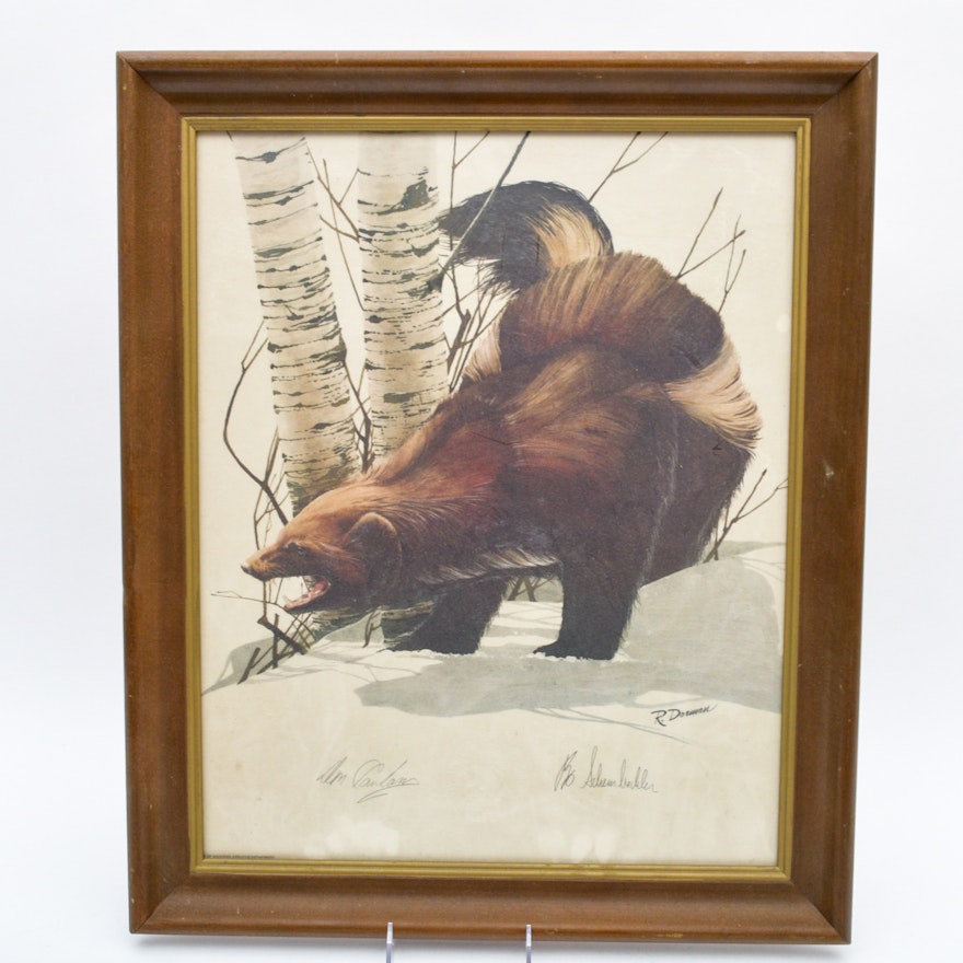 University of Michigan Print of Wolverine, Signed by Head Coach