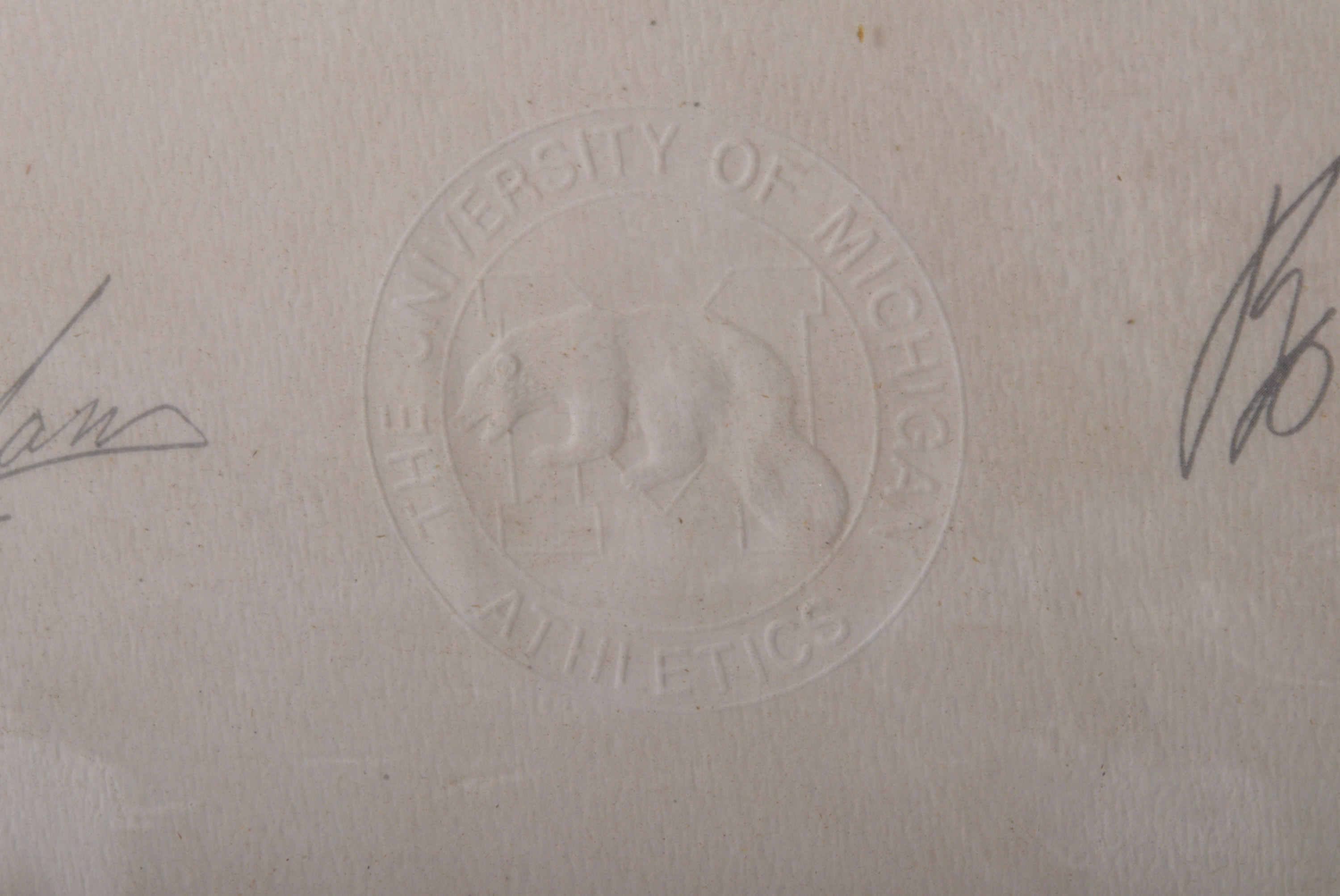 University of Michigan Print of Wolverine, Signed by Head Coach