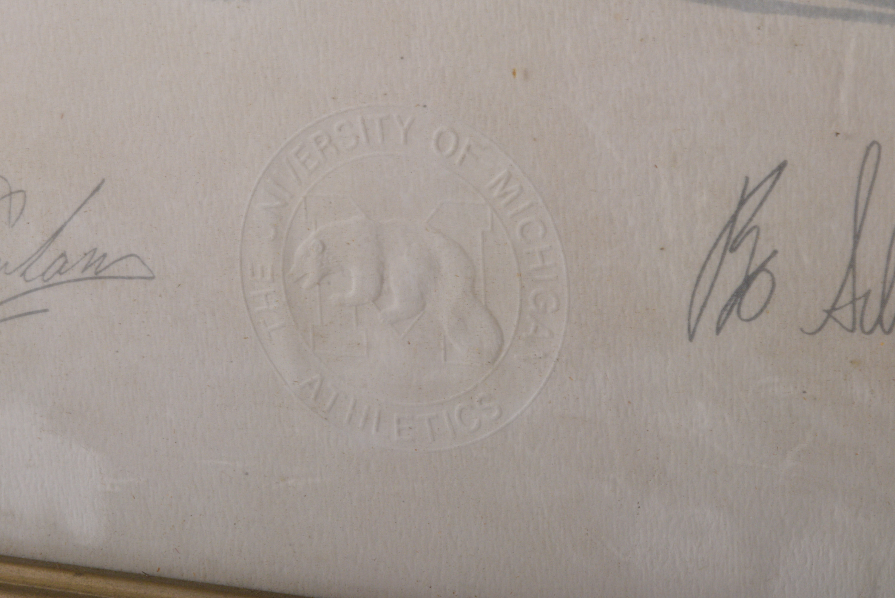 University of Michigan Print of Wolverine, Signed by Head Coach