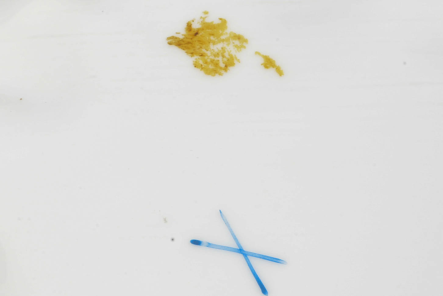 Charlottebrunn (1866-1920, Germany -Silesia ) Handled Serving Platters