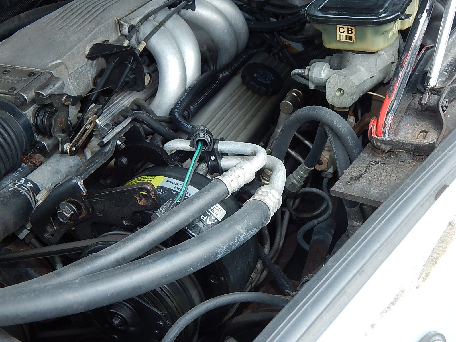 1989 Johnson Motor Company "Phantom Classic"