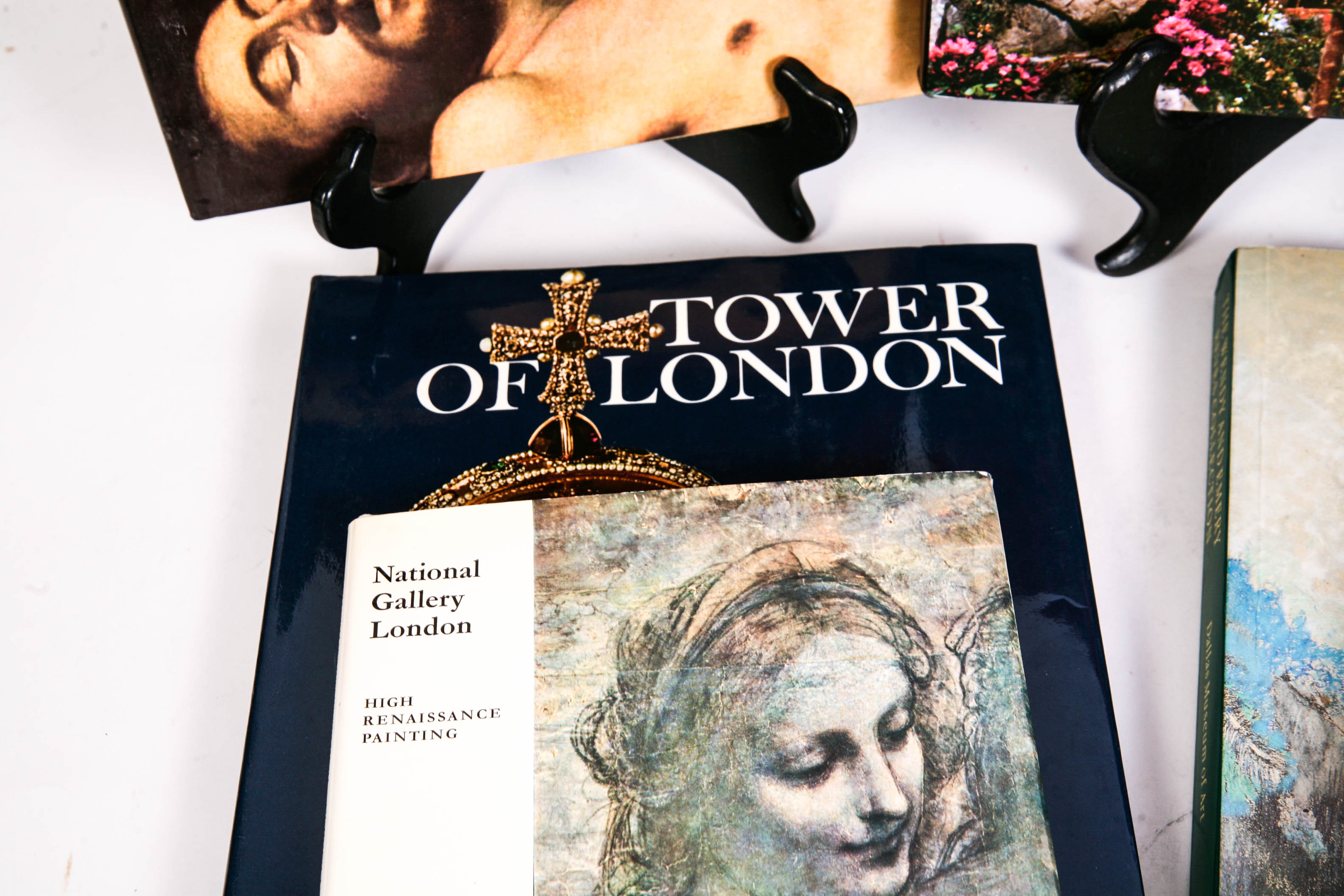 Art Museum and Exhibition Catalogs