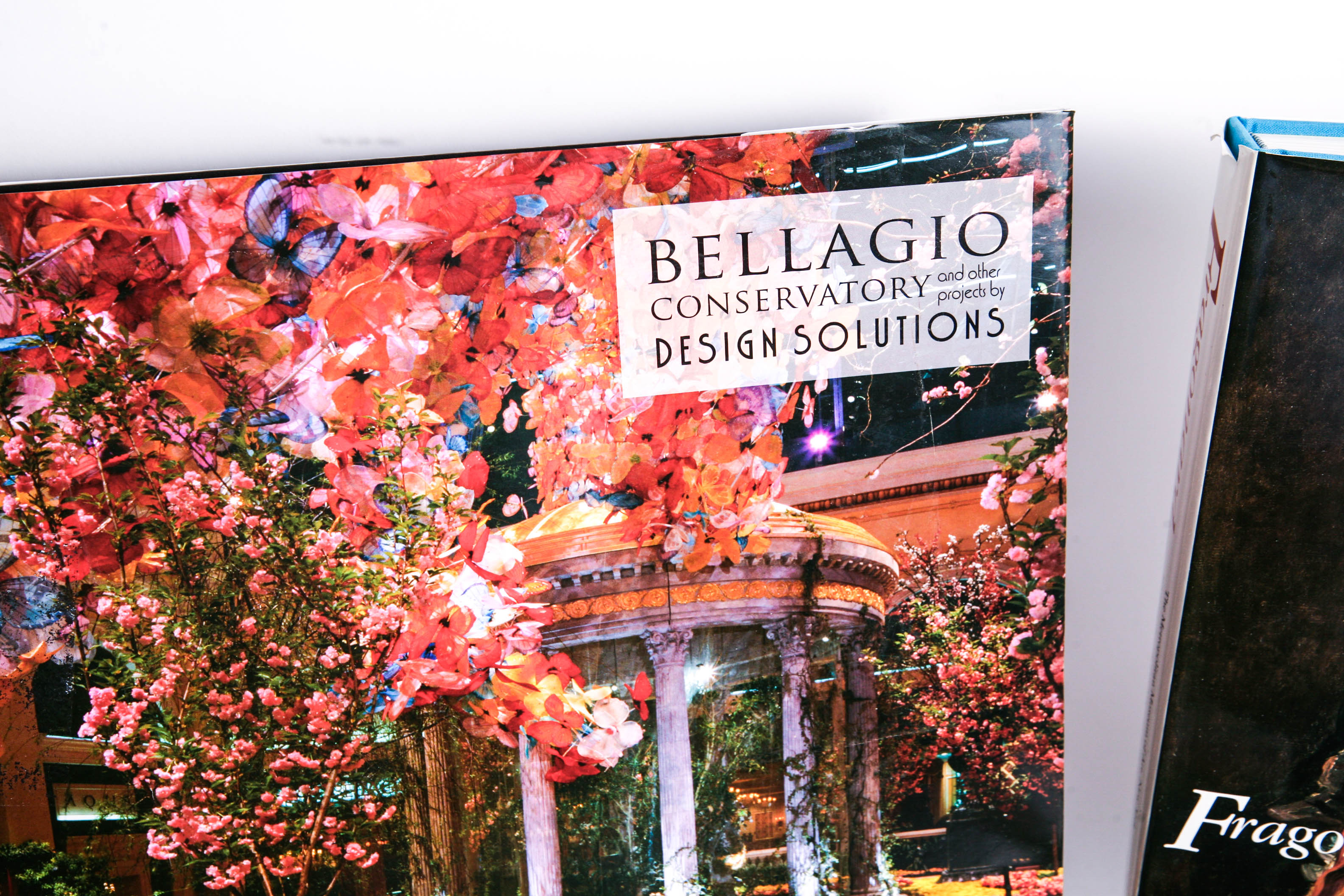 Art Museum and Exhibition Catalogs