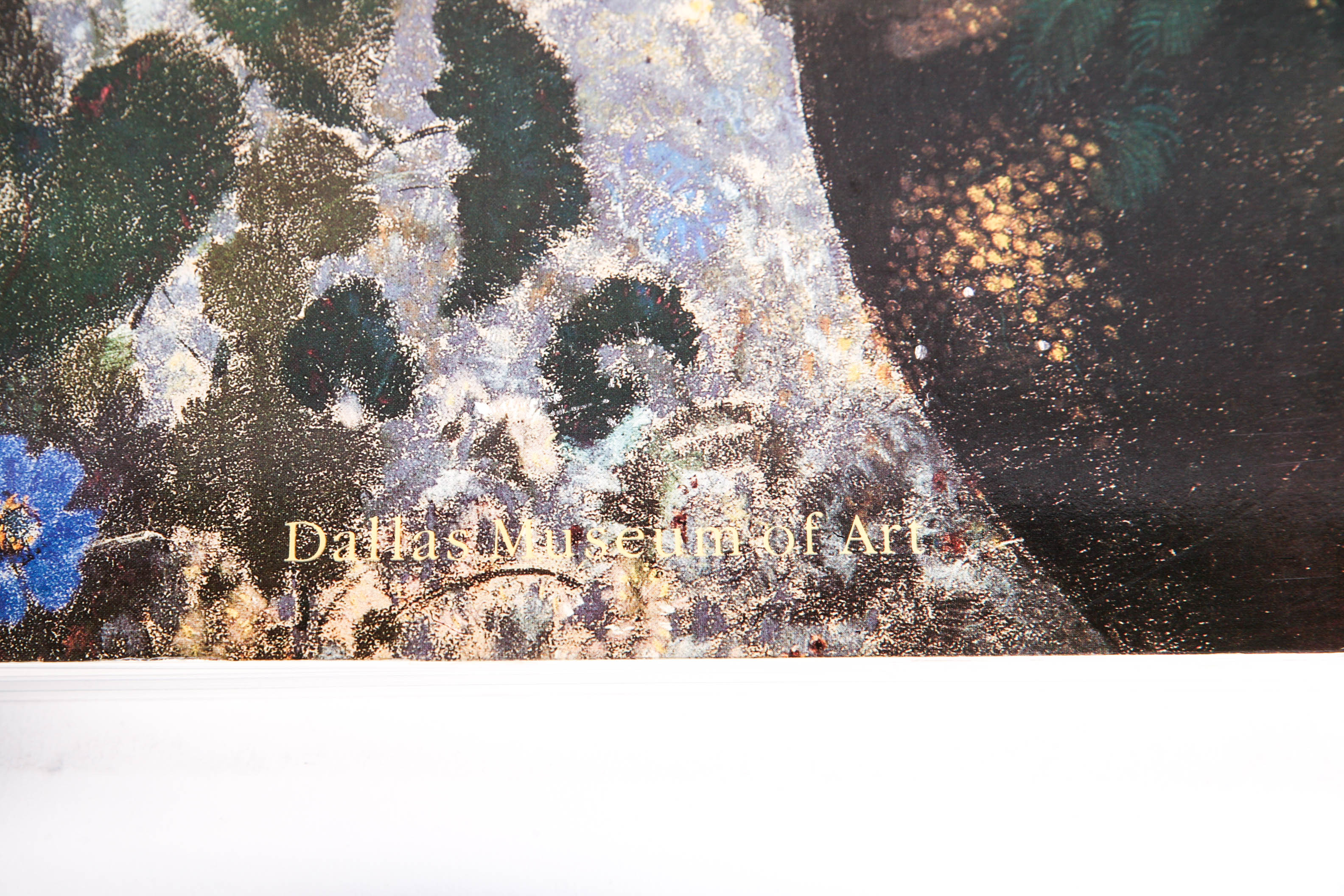 Art Museum and Exhibition Catalogs