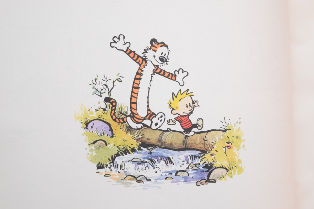 Calvin and Hobbes Tenth Anniversary Book