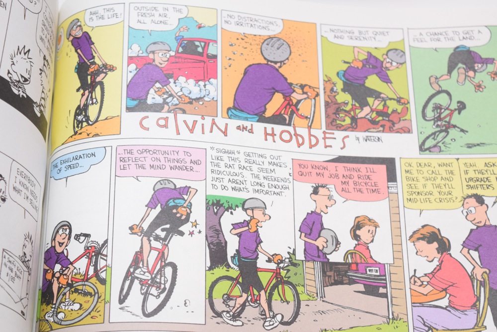 Calvin and Hobbes Tenth Anniversary Book