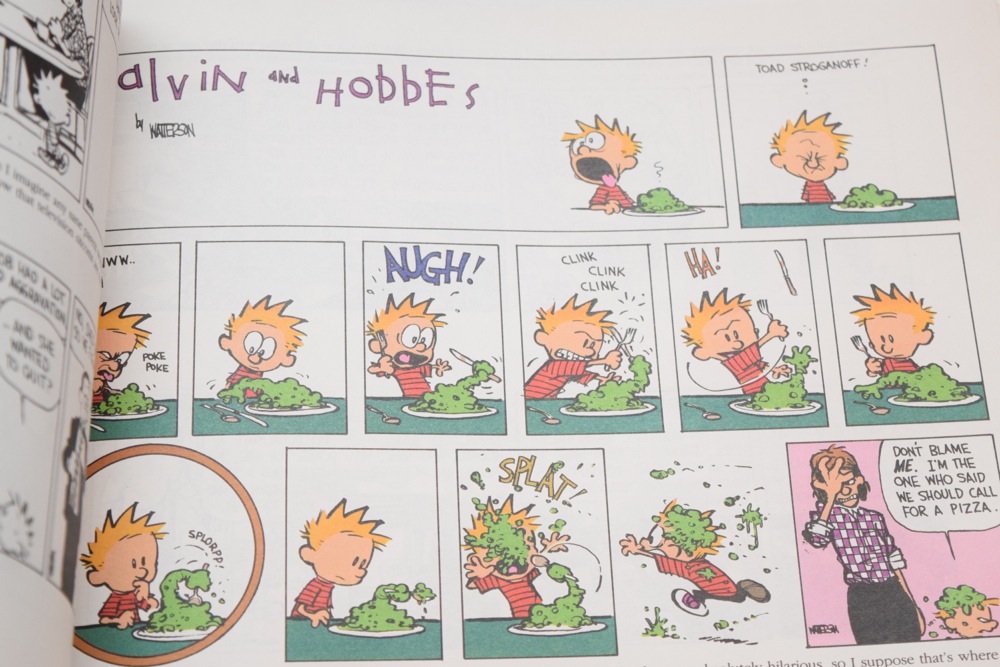 Calvin and Hobbes Tenth Anniversary Book