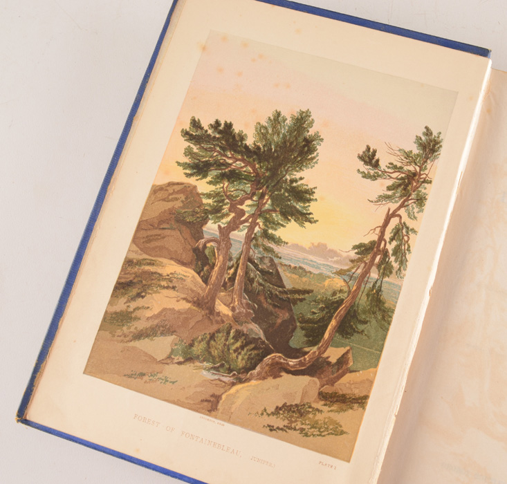 1871 "Theory and Practice of Landscape Painting in Water-Colours"