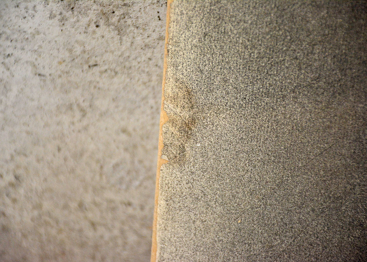 Anne Fleckenstein Original "Head of Nero No. 2" Charcoal, c. 1894