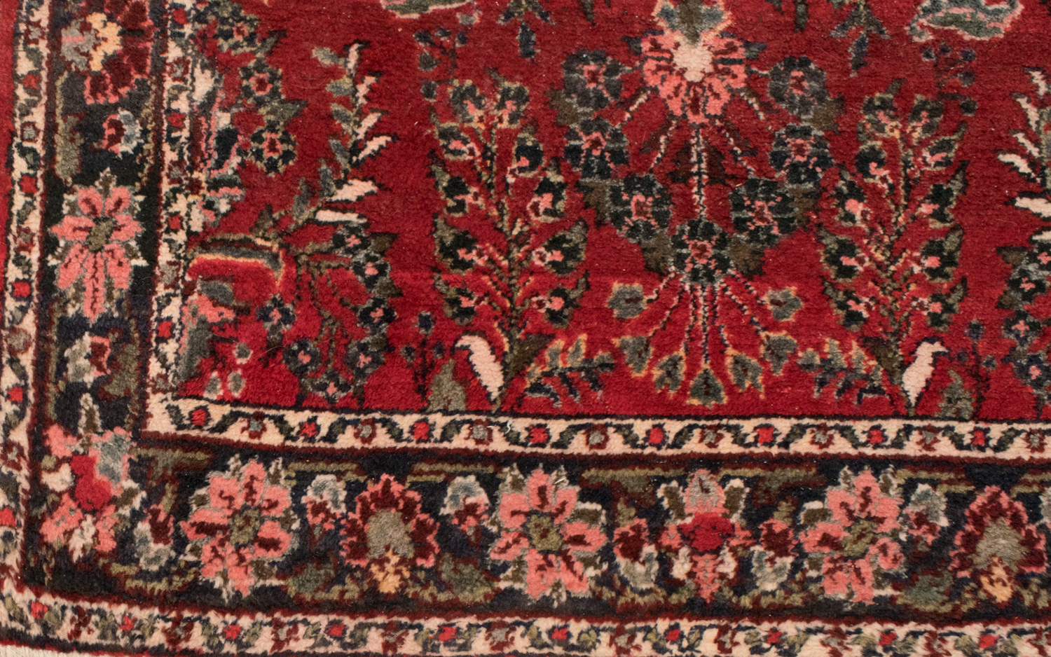 Handwoven Wool Sarouk Area Rug