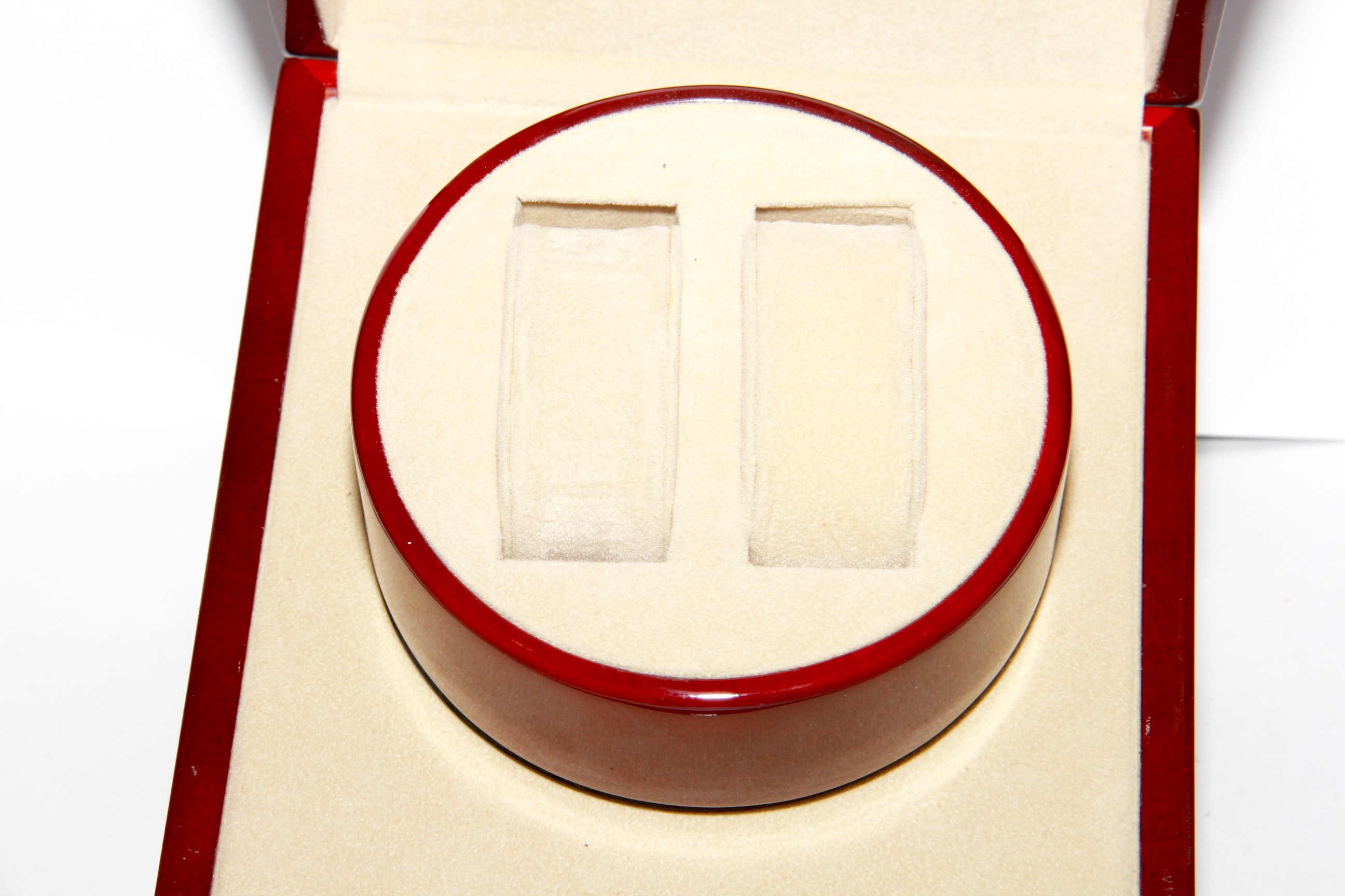 Electric Watch Jewelry Display