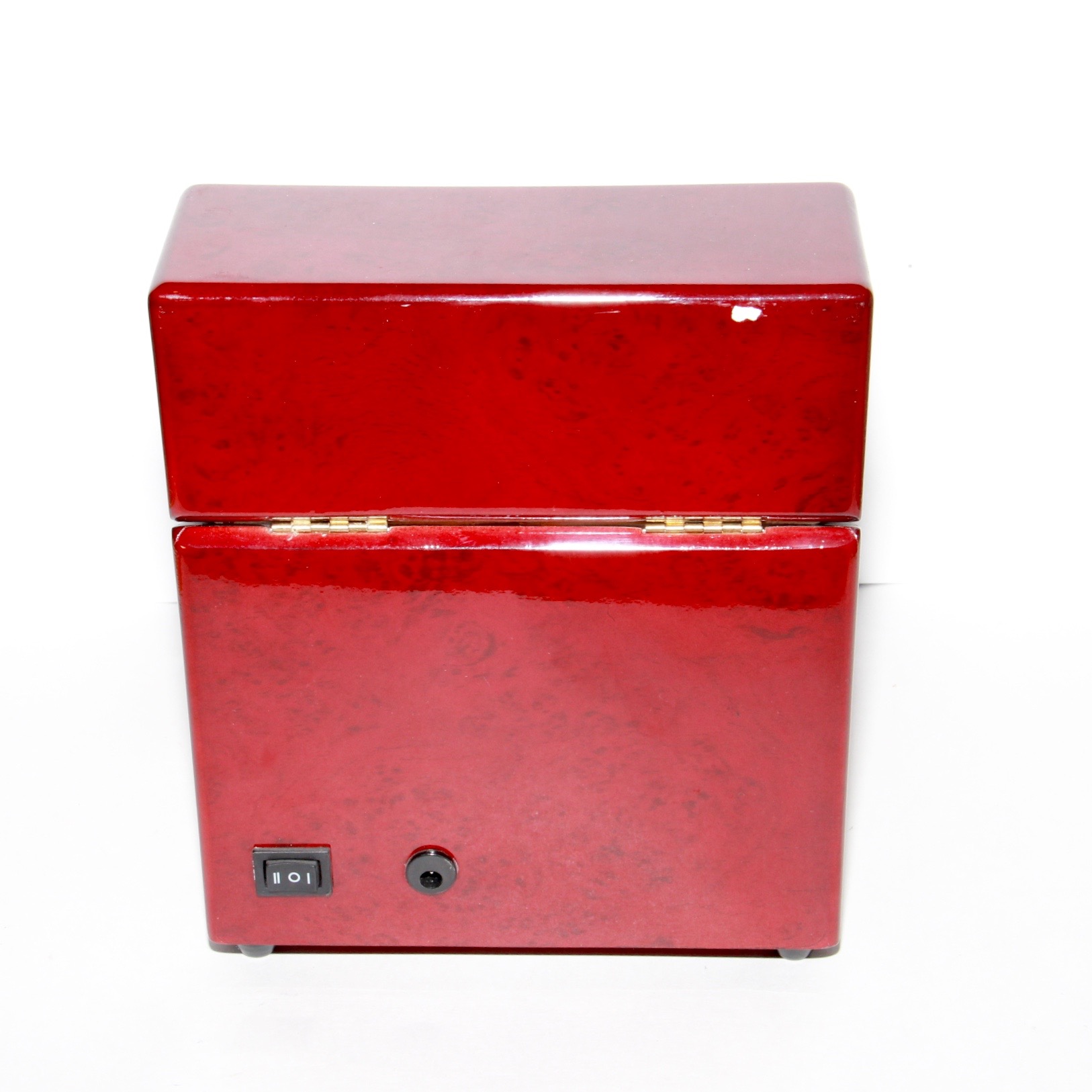 Electric Watch Jewelry Display