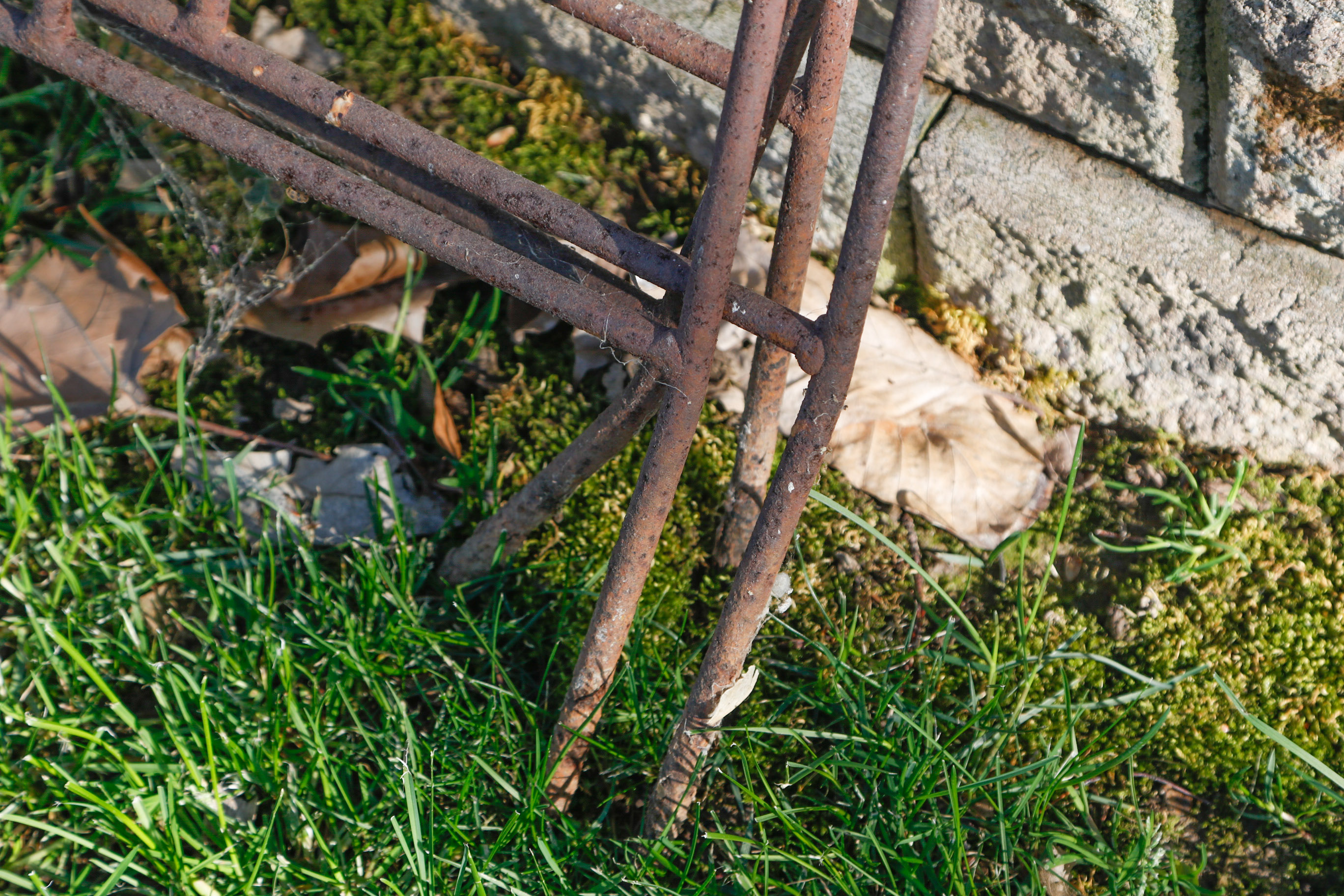 Wrought Iron Garden Border Fence