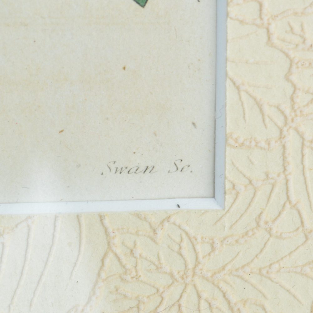 Three Framed Antique Hand-Tinted Botanical Prints