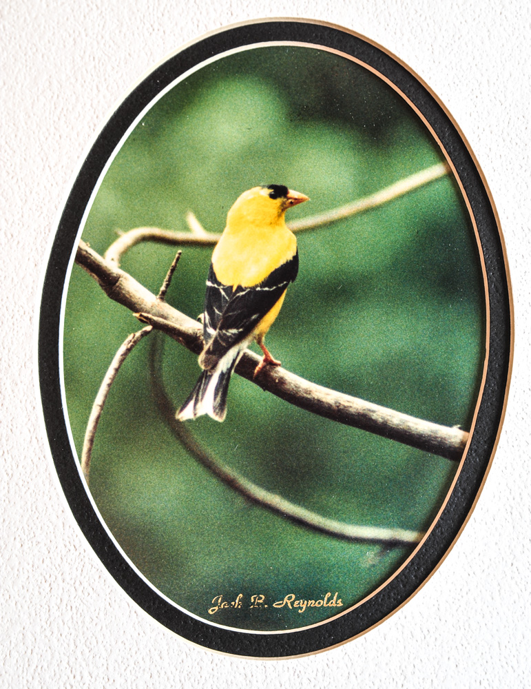 Signed Louise Brevoort Limited Edition Print and Loose Art