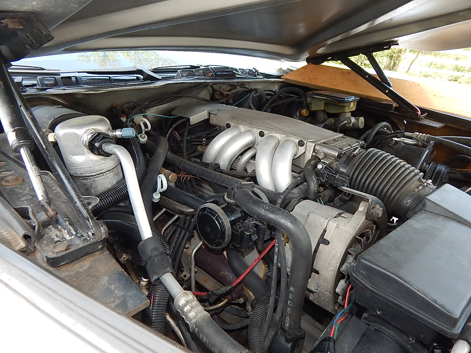 1989 Johnson Motor Company "Phantom Classic"