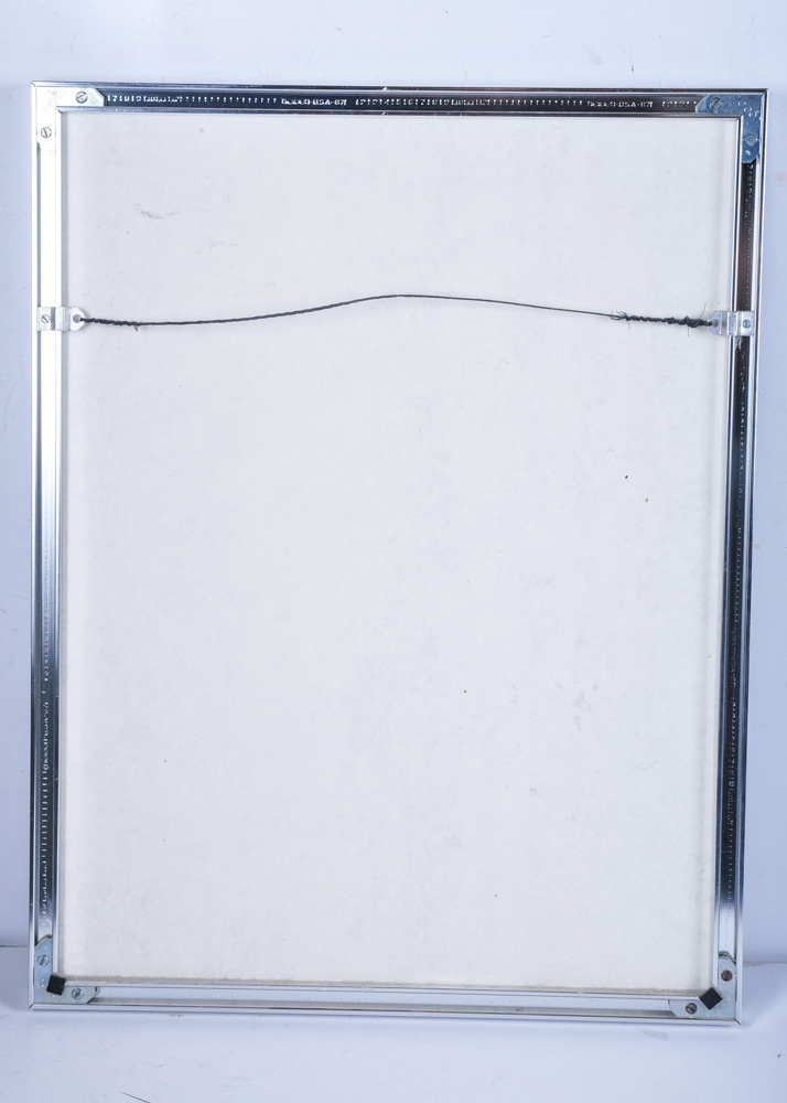 Charley Harper "Raccobat" Serigraph