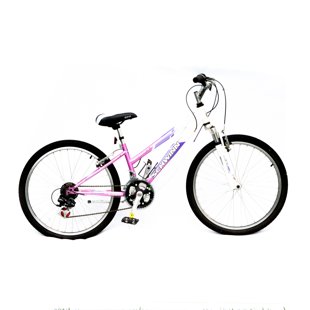 Schwinn discount ranger 2.4