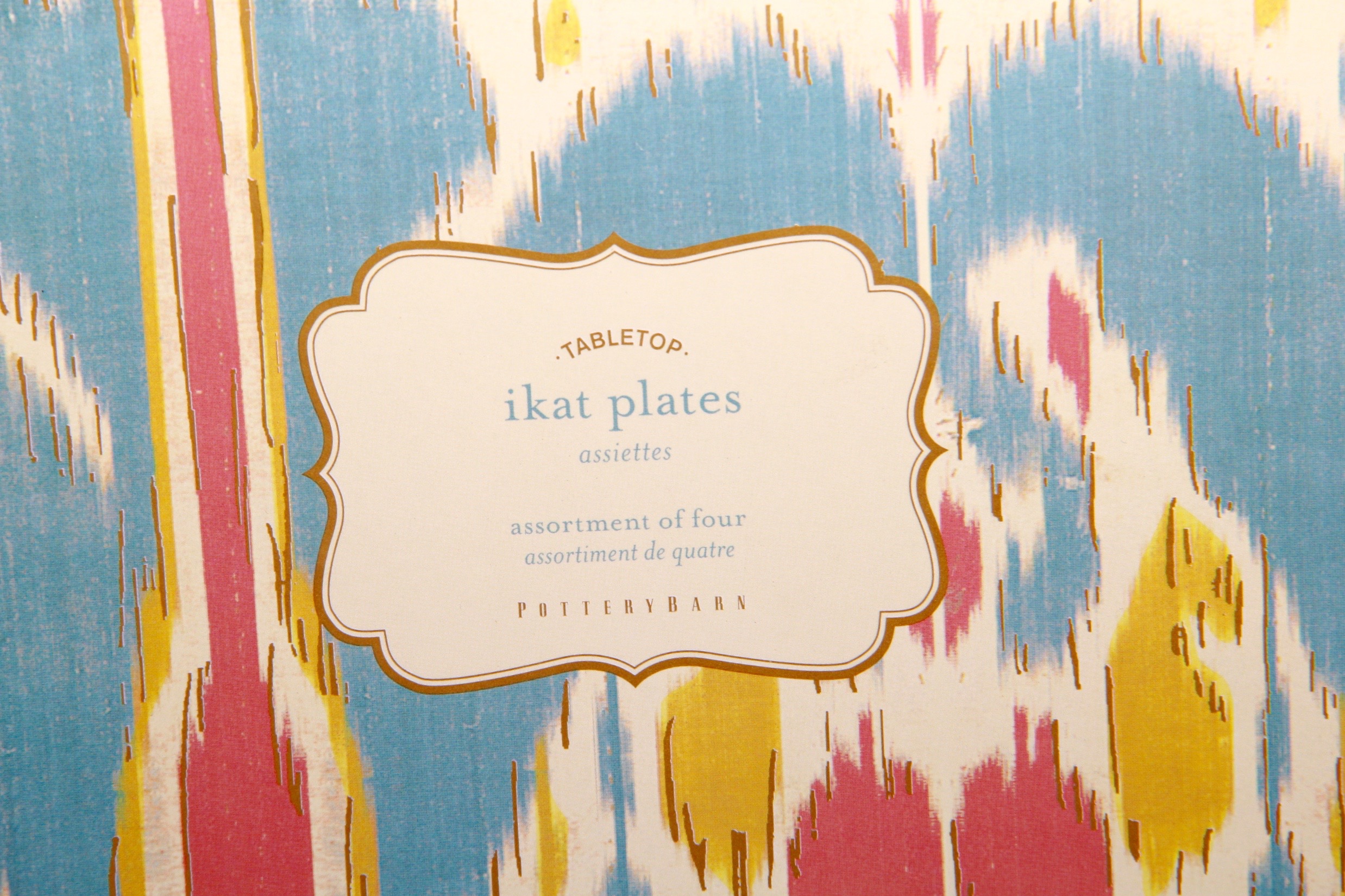 Set of Pottery Barn Ikat Plates