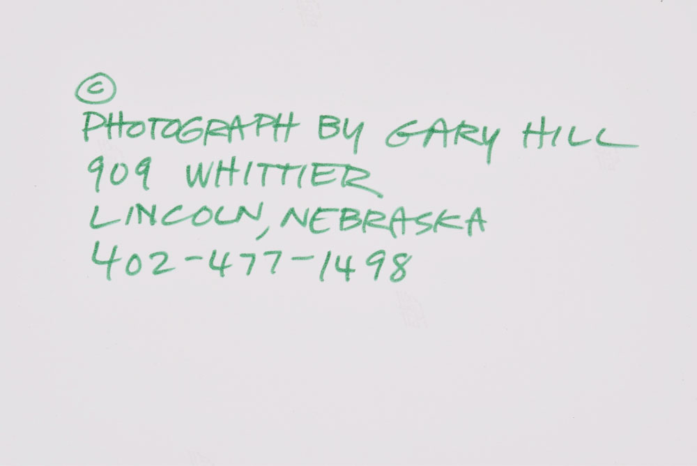 1970s Tanya Tucker Black and White Photograph Portrait