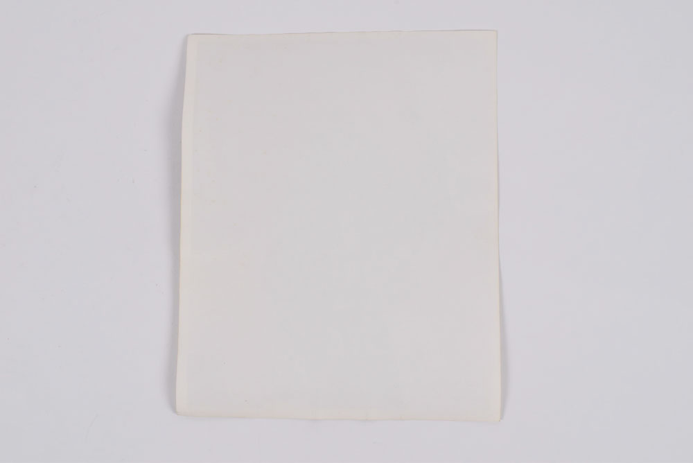 Photograph Portrait of Tanya Tucker