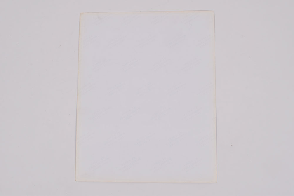 Tanya Tucker Photograph Portrait