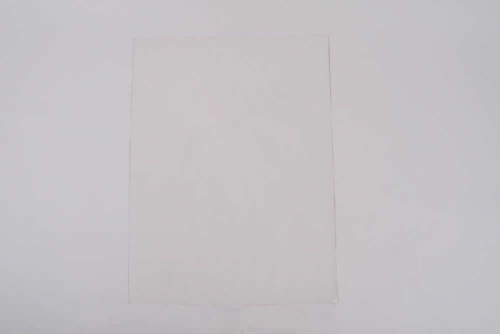 1995 Tanya Tucker "Fire To Fire" Promotional Poster"