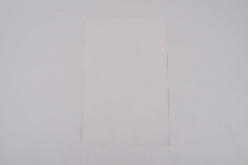 1991 Tanya Tucker "What Do I Do With Me (Without You)" Promotional Color Poster