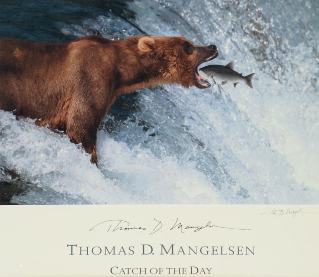 Thomas D. Mangelsen "Catch of the Day" Signed Poster