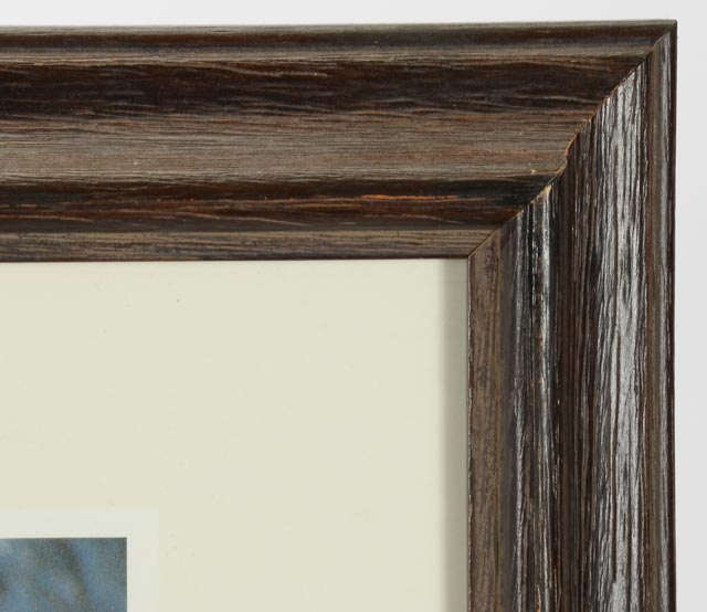 Thomas D. Mangelsen "Catch of the Day" Signed Poster