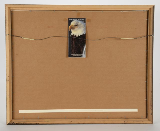 Thomas D. Mangelsen "Catch of the Day" Signed Poster