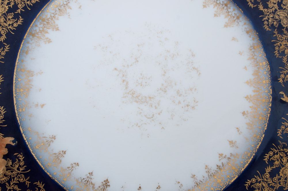 Charles Field Haviland Limoges China Set for Six