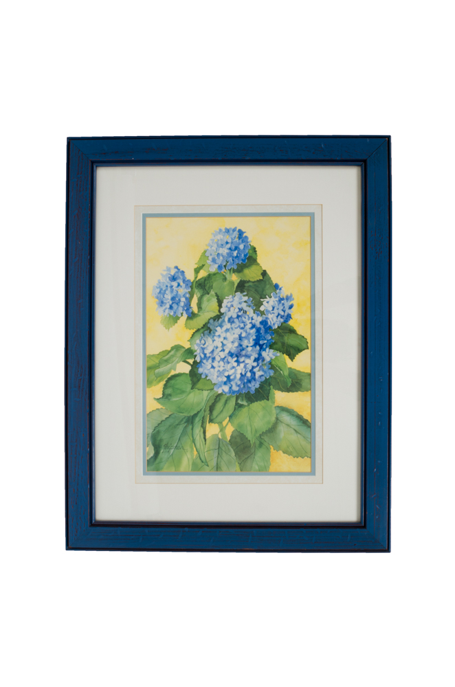 Barbara Shipman Hydrangea Still Life Offset Lithographs
