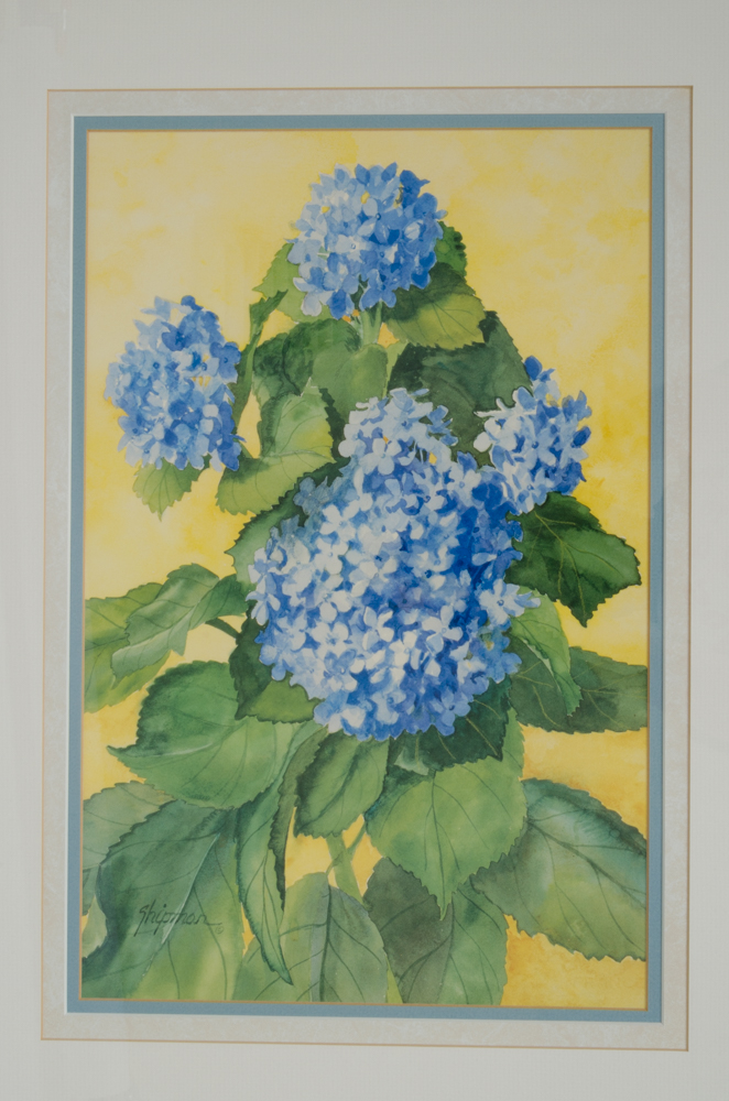 Barbara Shipman Hydrangea Still Life Offset Lithographs
