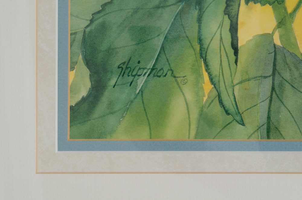 Barbara Shipman Hydrangea Still Life Offset Lithographs