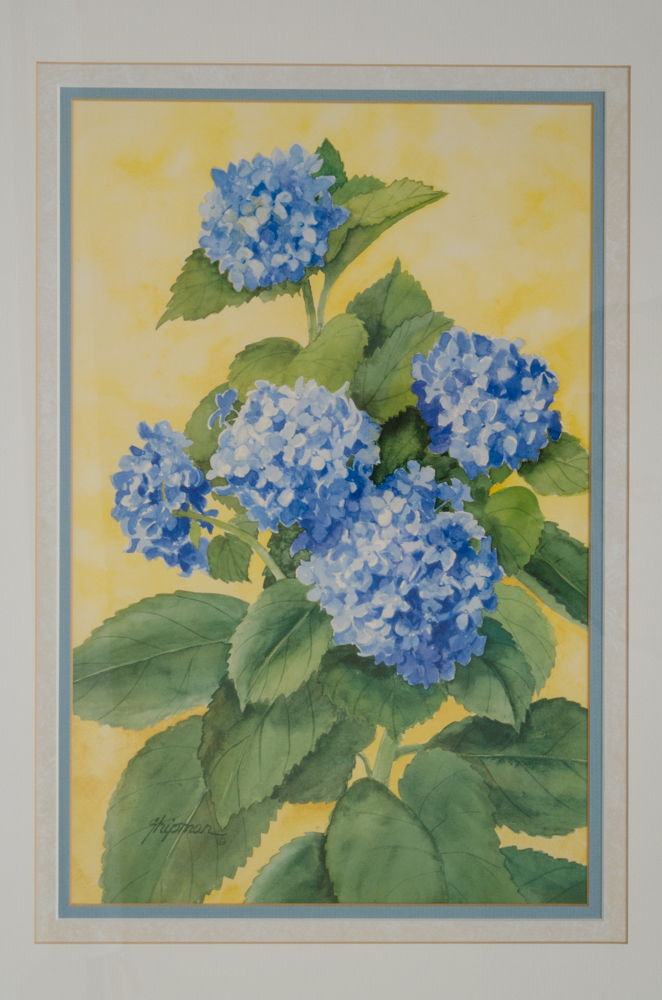 Barbara Shipman Hydrangea Still Life Offset Lithographs