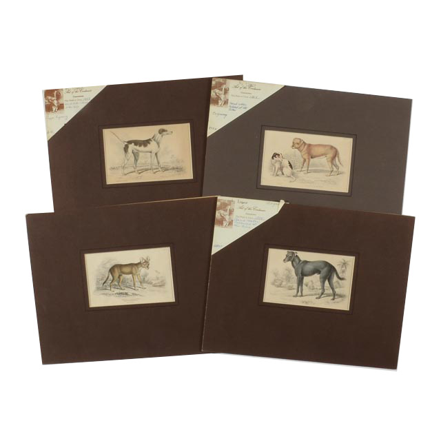 Four Dog Engravings from "The Naturalist's Library"